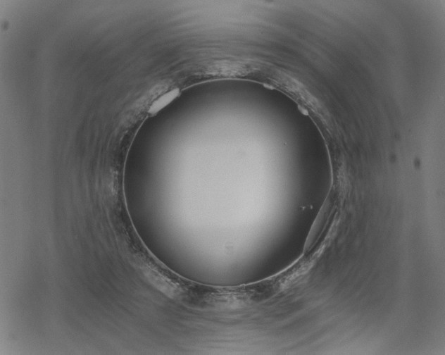 X0000069810305200605191052