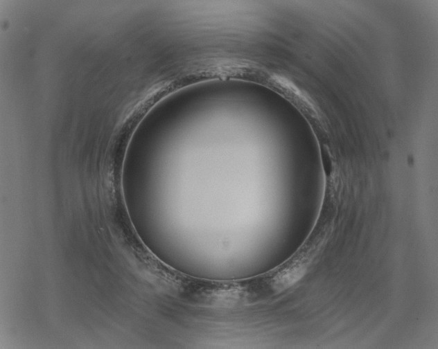 X0000069810306200605191052