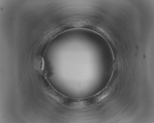 X0000069810307200605191052