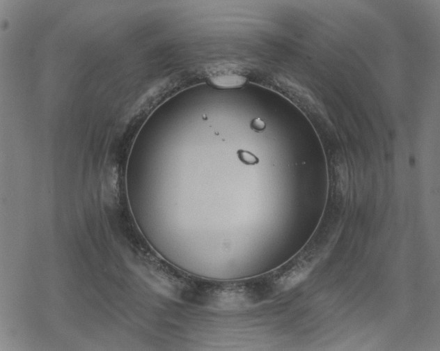 X0000069810308200605191052