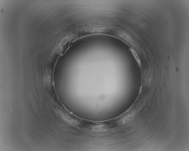 X0000069810309200605191052