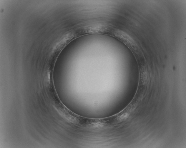 X0000069810310200605191052