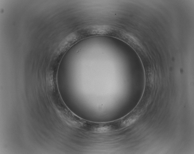 X0000069810312200605191052