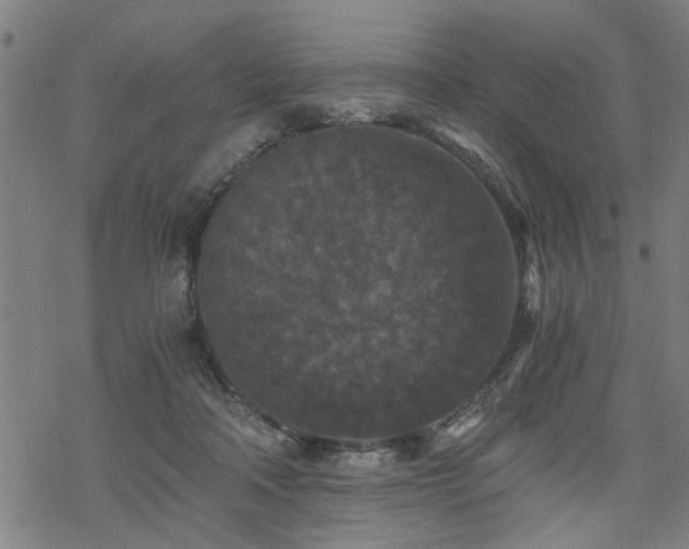 X0000069810314200605191052