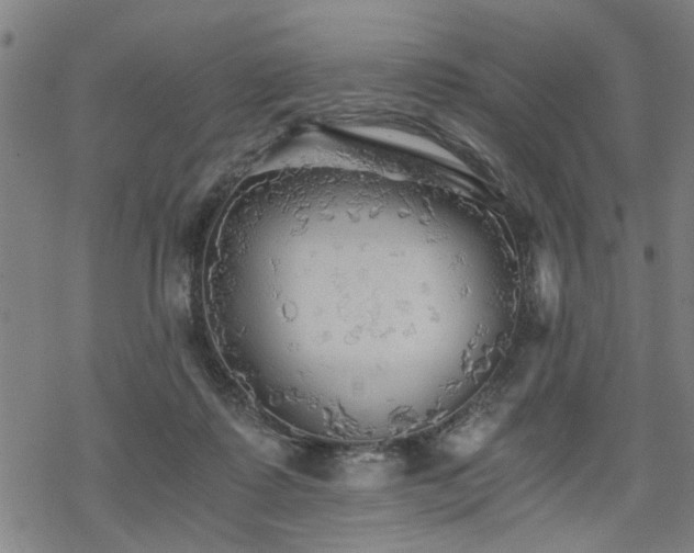 X0000069810315200605191052