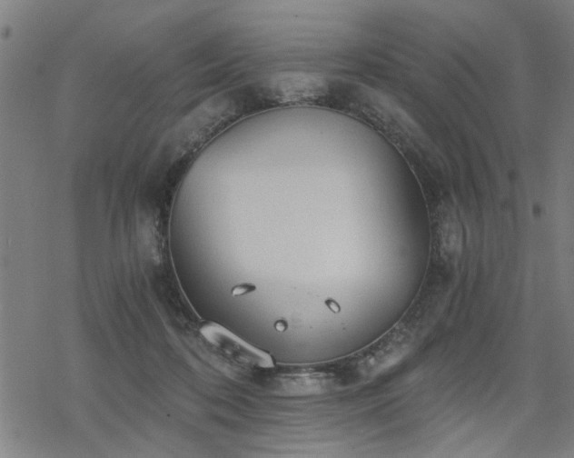 X0000069810316200605191052