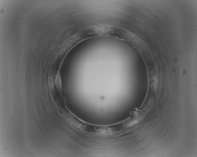 X0000069810317200605191052