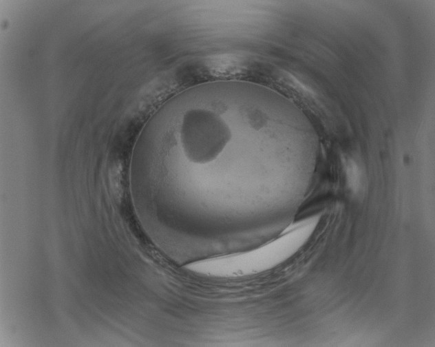 X0000069810319200605191052