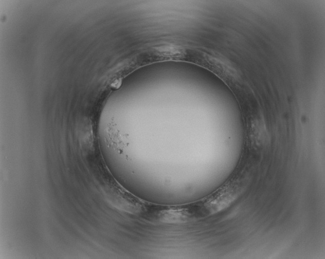 X0000069810320200605191052