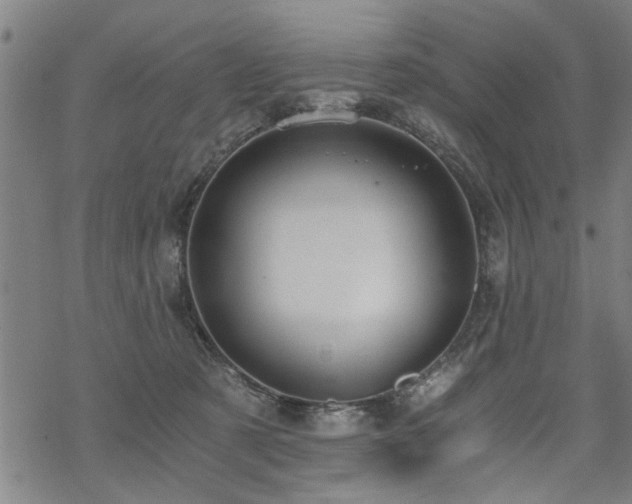 X0000069810321200605191052