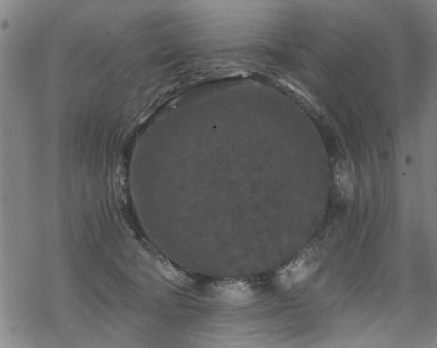 X0000069810322200605191052