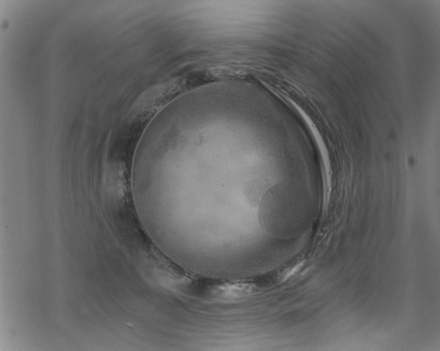 X0000069810323200605191052