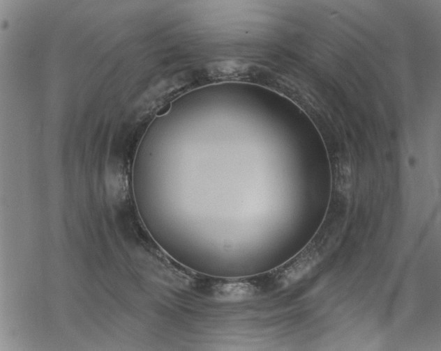 X0000069810324200605191052