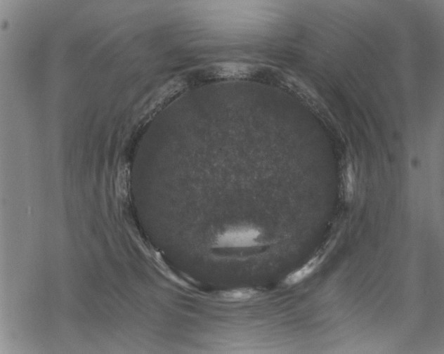 X0000069810325200605191052