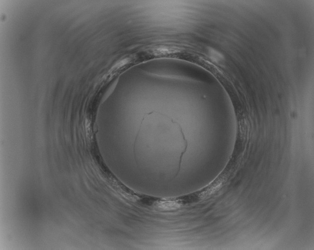 X0000069810327200605191052