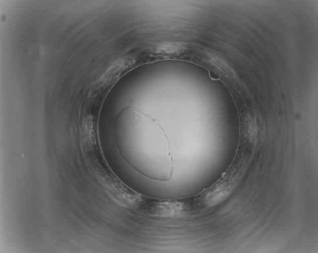 X0000069810328200605191052