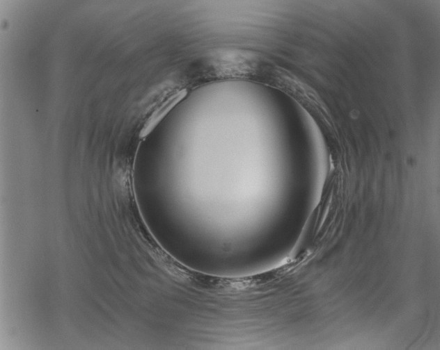 X0000069810329200605191052