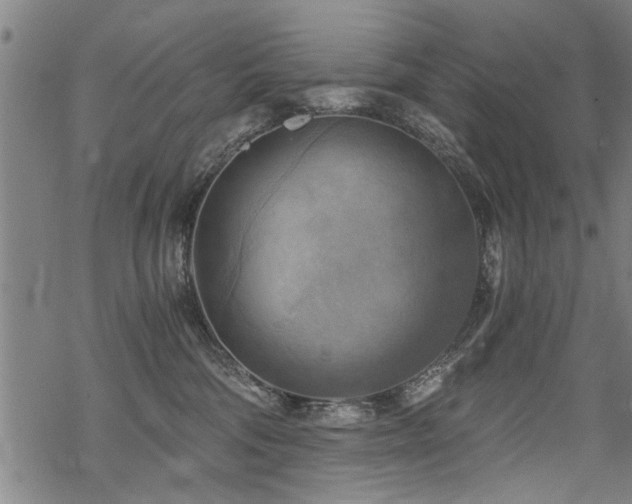 X0000069810330200605191052