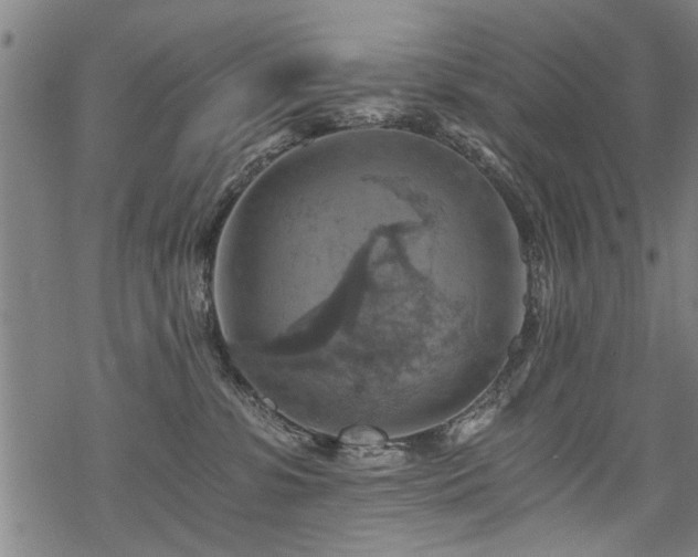 X0000069810331200605191052