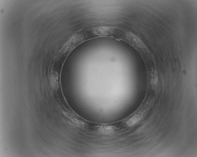 X0000069810332200605191052