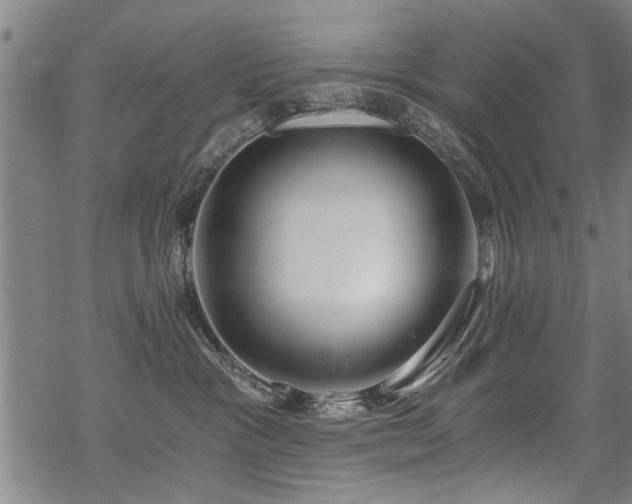 X0000069810333200605191052