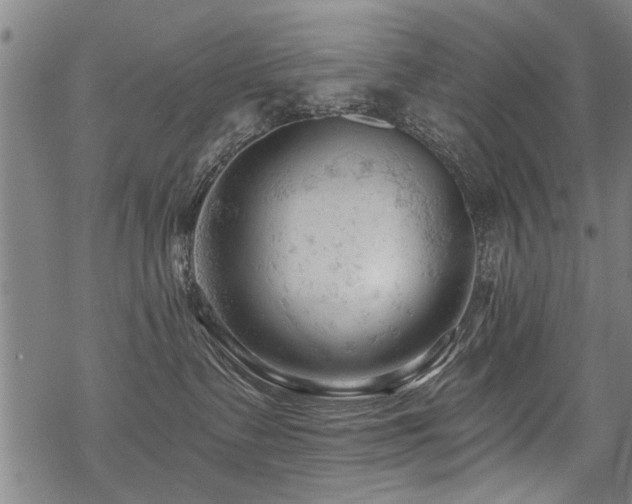 X0000069810335200605191052