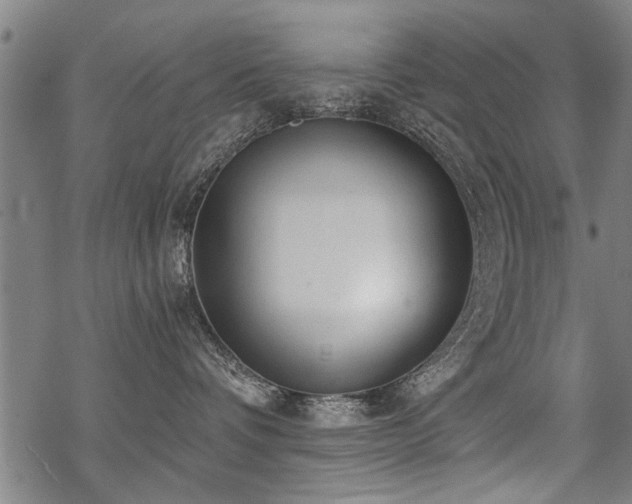 X0000069810336200605191052