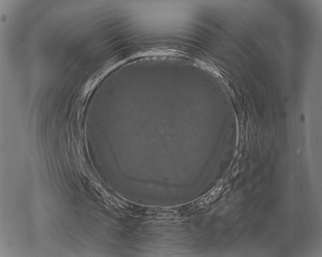 X0000069810337200605191051