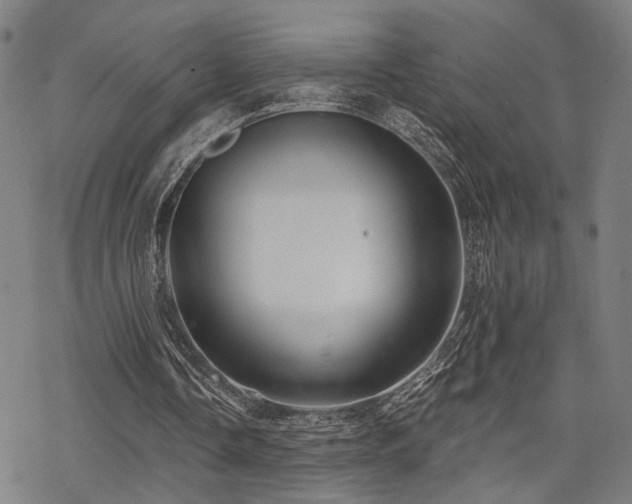 X0000069810338200605191051