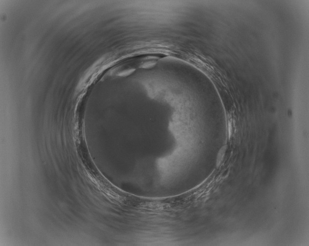 X0000069810339200605191051