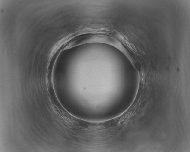 X0000069810340200605191051