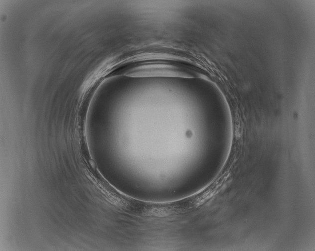 X0000069810341200605191051