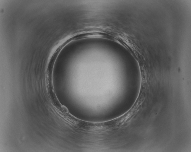 X0000069810342200605191051