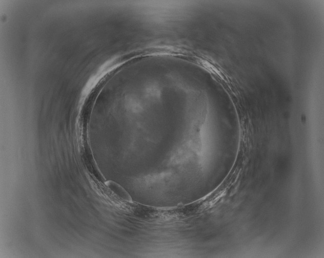 X0000069810343200605191051