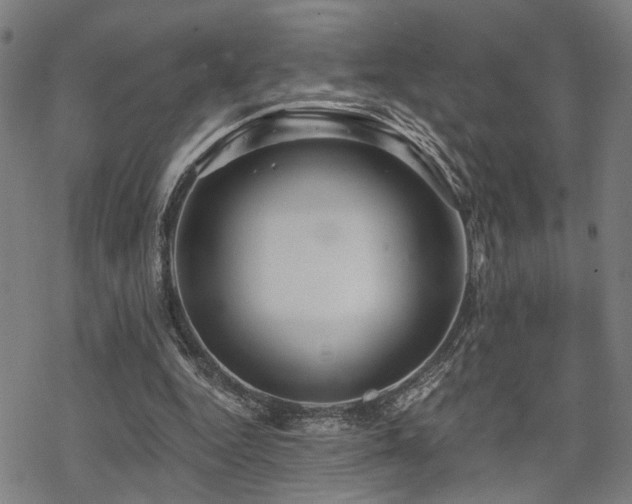 X0000069810344200605191051