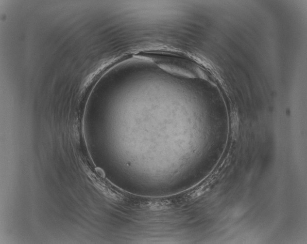 X0000069810345200605191051