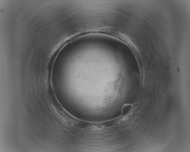 X0000069810346200605191051