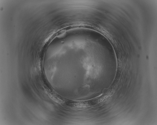 X0000069810347200605191051