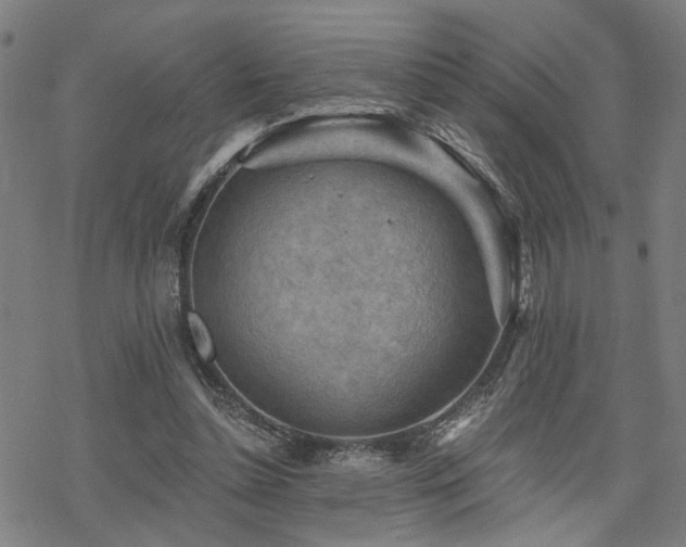 X0000069810348200605191051