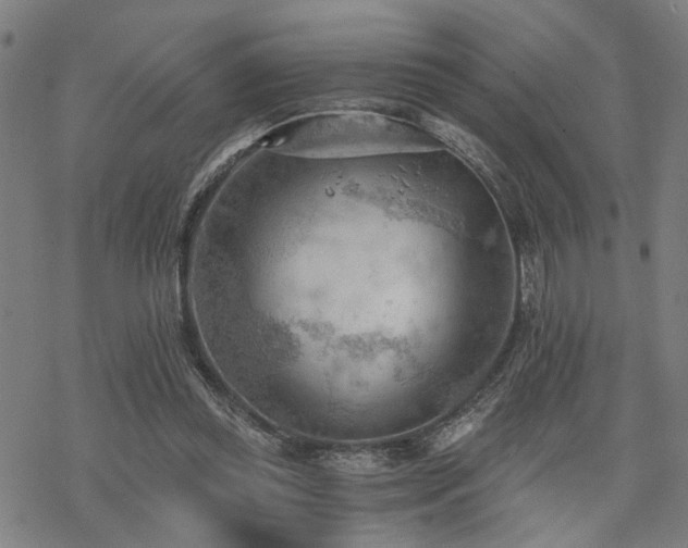 X0000069810349200605191051