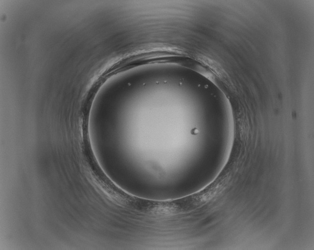 X0000069810350200605191051