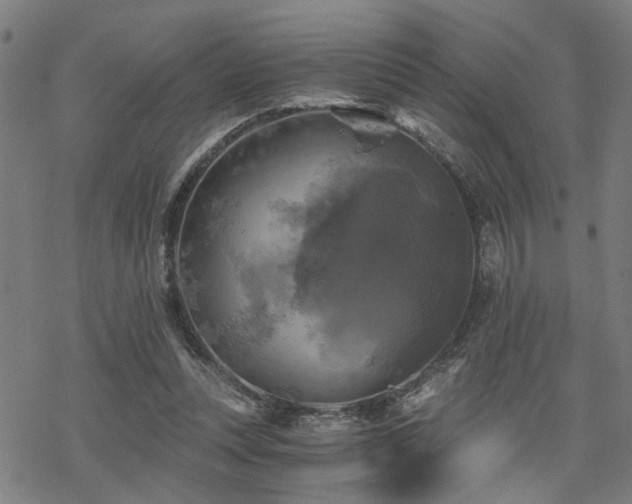 X0000069810351200605191051