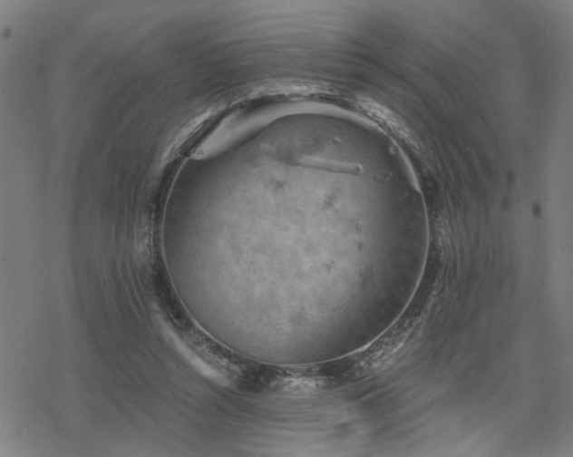 X0000069810352200605191051