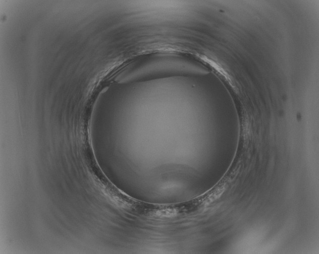 X0000069810353200605191051