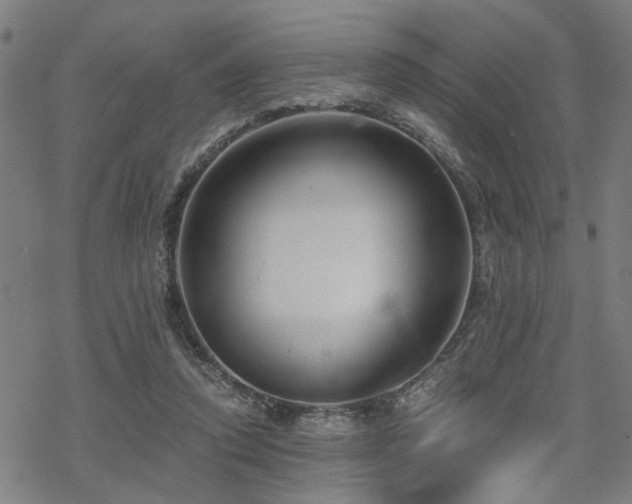 X0000069810354200605191051