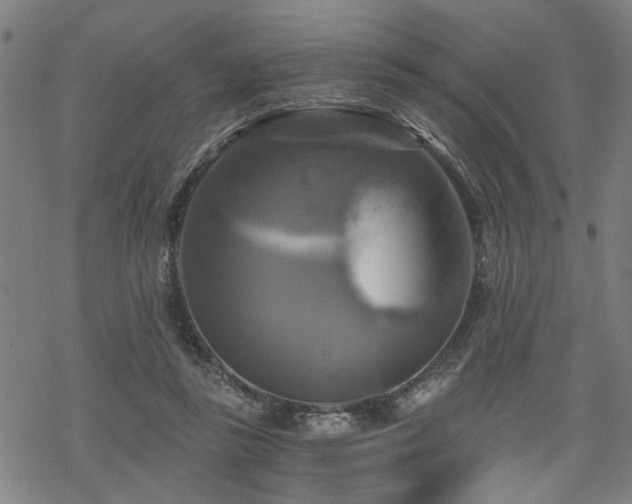 X0000069810355200605191051