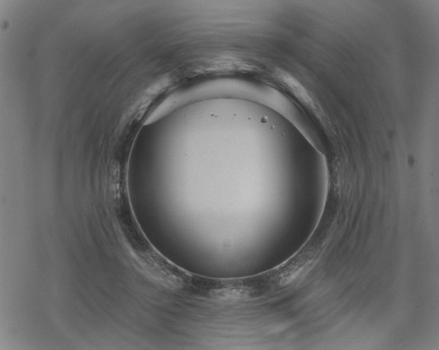 X0000069810356200605191051