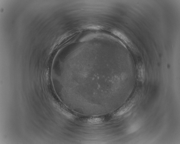 X0000069810357200605191051