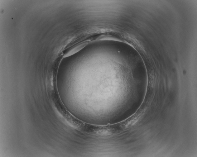 X0000069810358200605191051