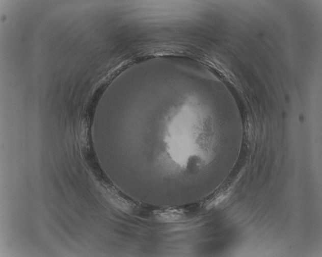 X0000069810359200605191051